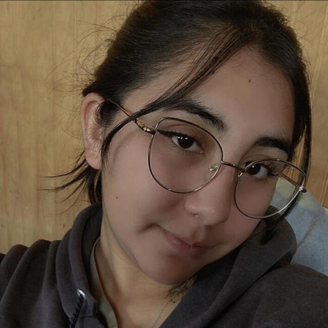 Babysitter in Temuco: Silvana