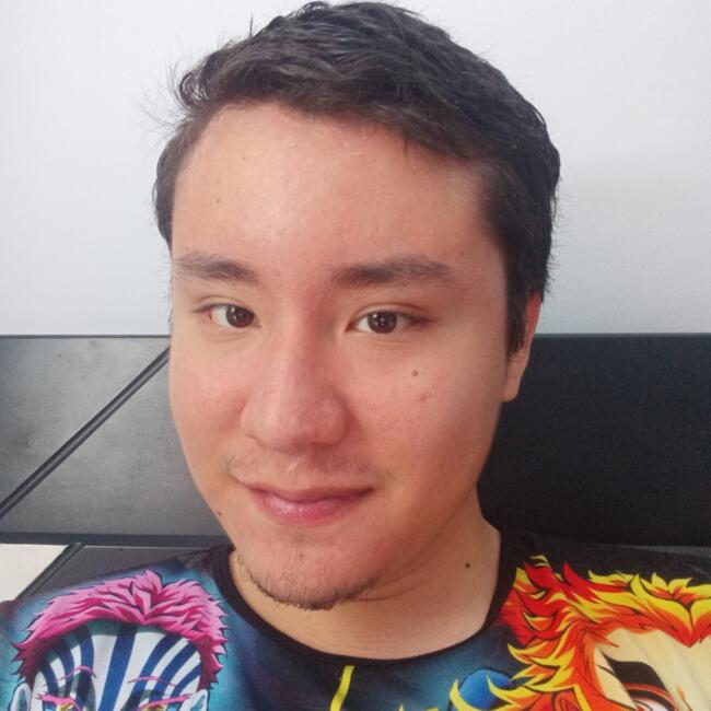 Babysitter in Neiva: Alexander