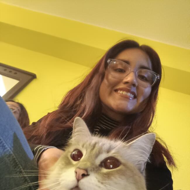 Babysitter in Independencia: Xiomara Diaz