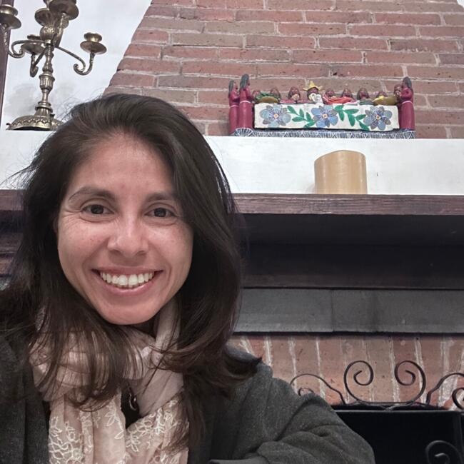 Babysitting job in Cholula: Laura