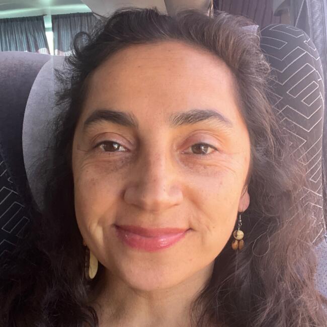 Niñera en Santiago de Chile: Alejandra