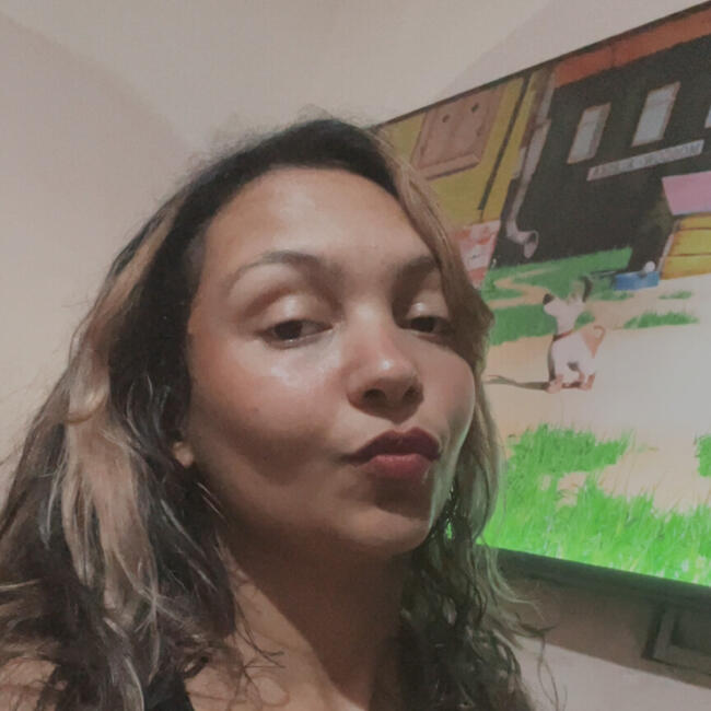 Babysitting job in Contagem: Thaís