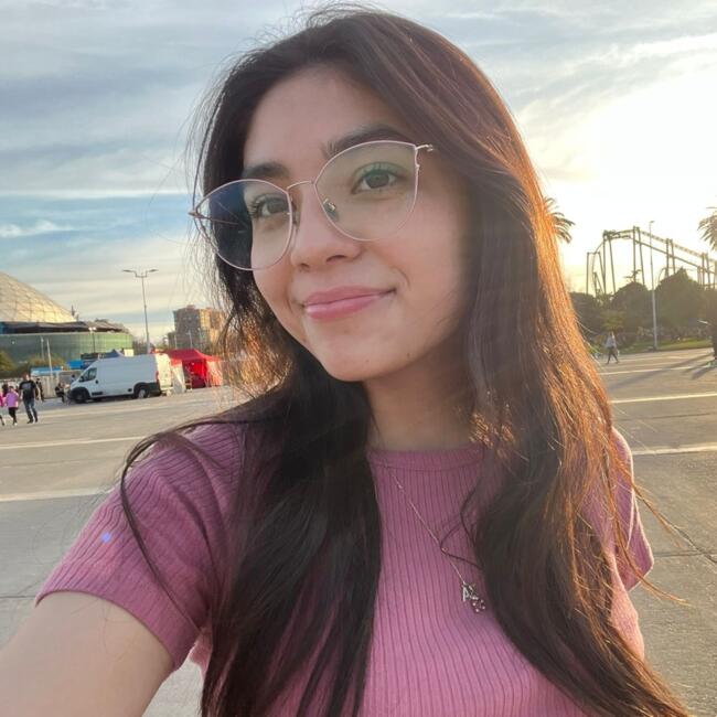 Babysitter in Puente Alto: Isabel