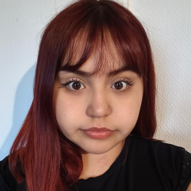 Niñera en Viña del Mar: Millaray Sandoval