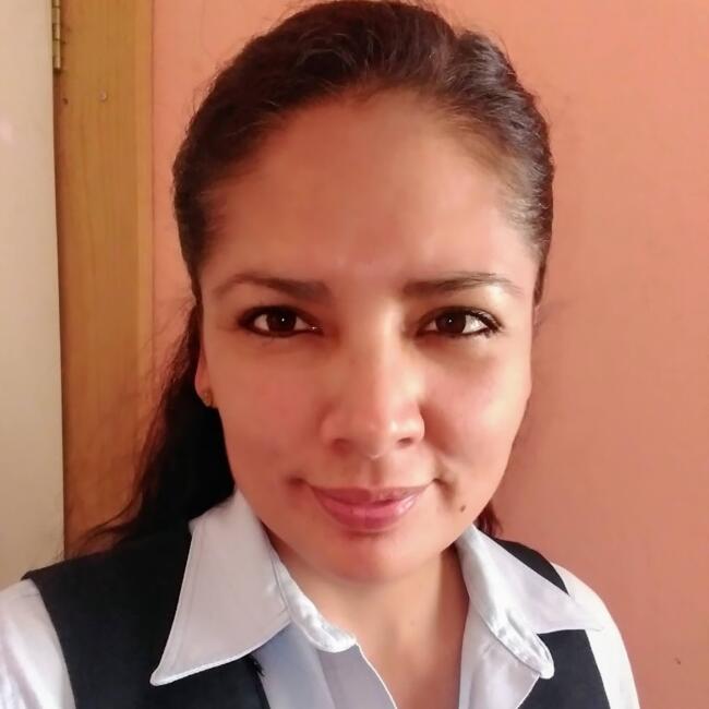 Niñera en Santiago de Querétaro: Herlinda