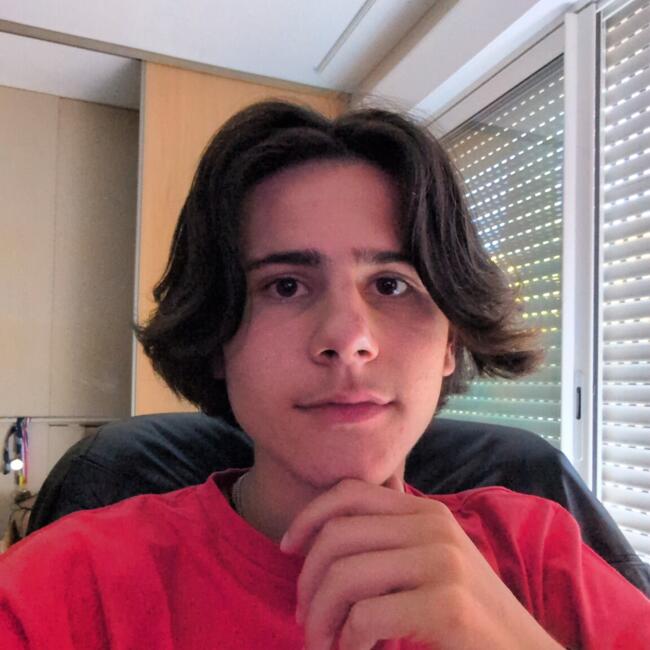 Babysitter in Saint-Savournin: Romain