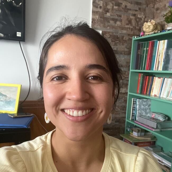 Babysitter in Port Montt: Camila