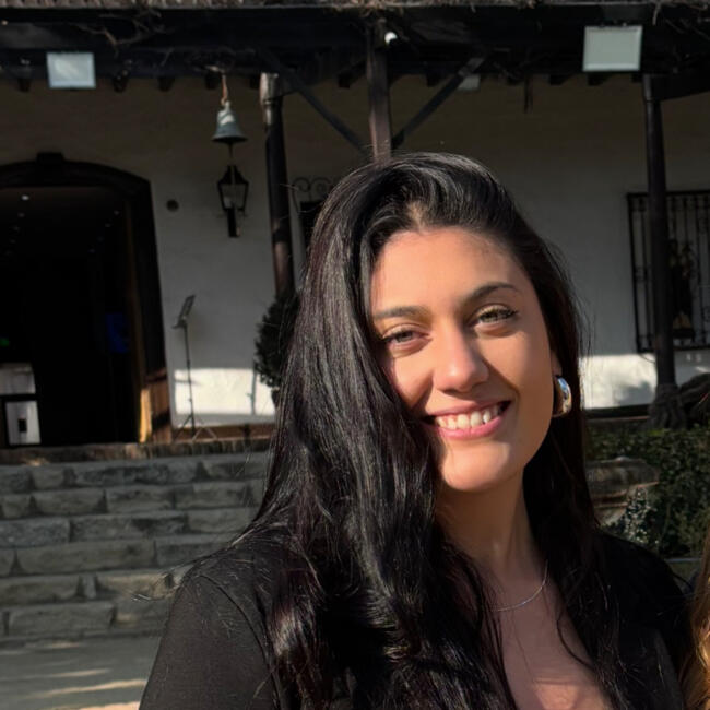 Babysitter in Santiago: Consuelo Fernandez