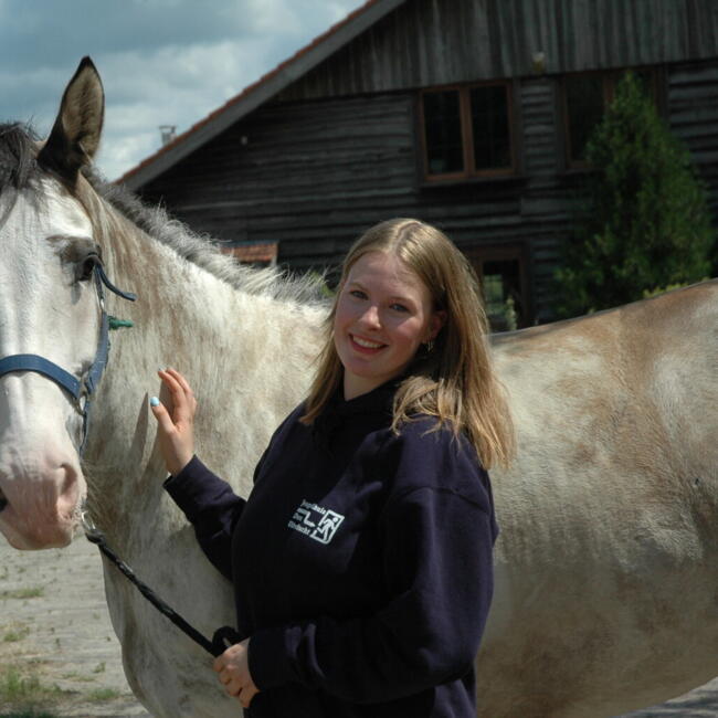 Babysitter in Waregem: Renée