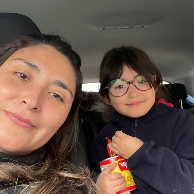 Babysitting job in La Serena: Viviana
