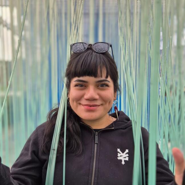 Babysitter in Santiago: Katherine