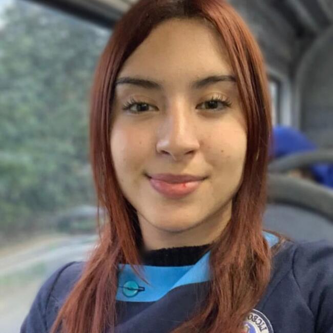 Babysitter in Santiago: Fernanda