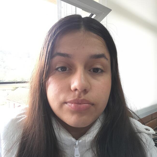 Babysitter in Caxias do Sul: Laura
