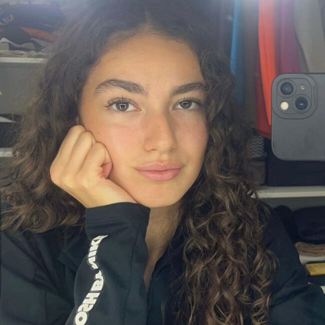 Babysitter in Villeneuve-le-Roi: Ferreira