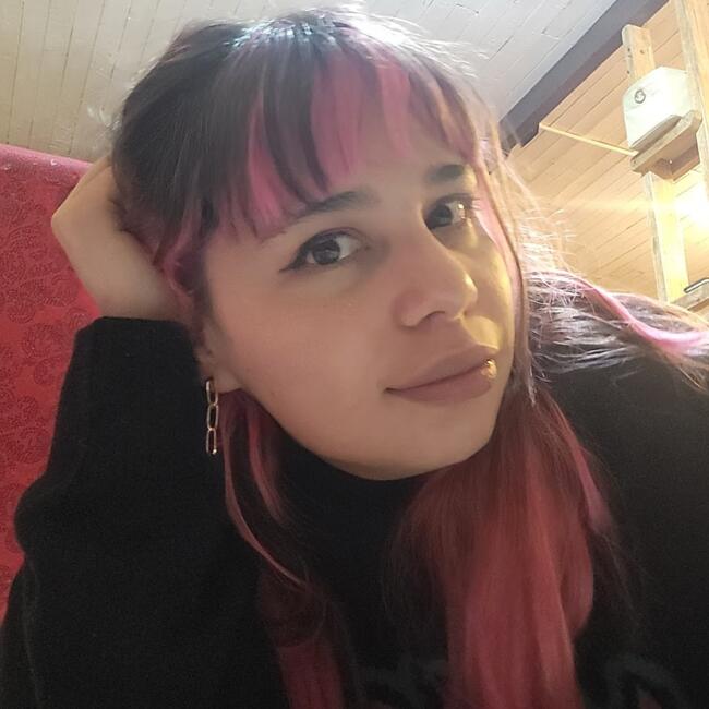 Trabajo para niñera en Santiago de Chile: Fernanda