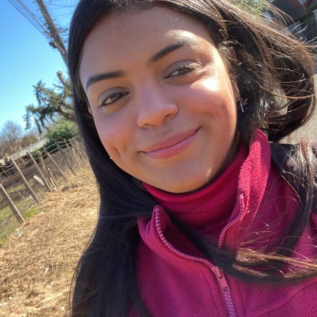 Babysitter in Temuco: Alicia