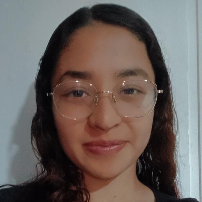 Babysitter in Soacha: Dana