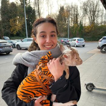 Babysitter in Geraardsbergen: Manar