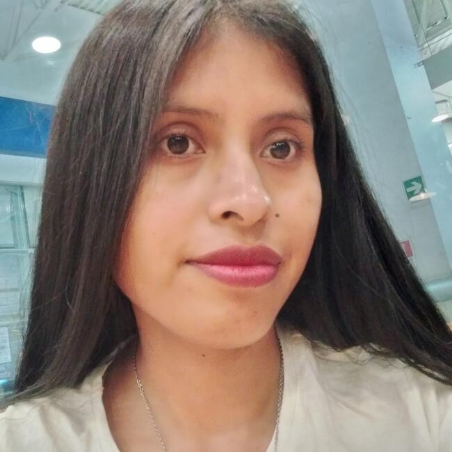 Babysitter in Antofagasta: Nicole Carla