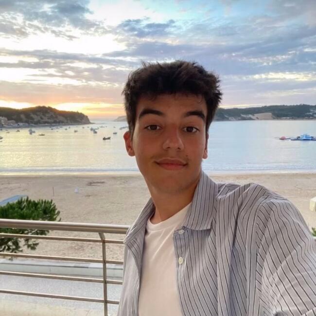 Babysitter in Matosinhos Municipality: Rui