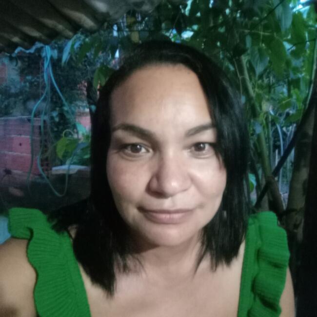 Babysitter in Anápolis: Maria Aparecida