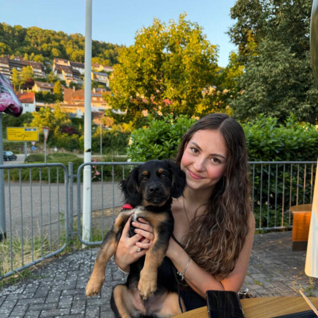 Babysitter in Künzelsau: Alina