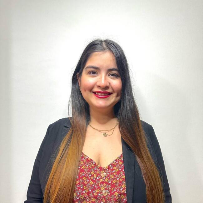 Babysitting job in Santiago: Melissa