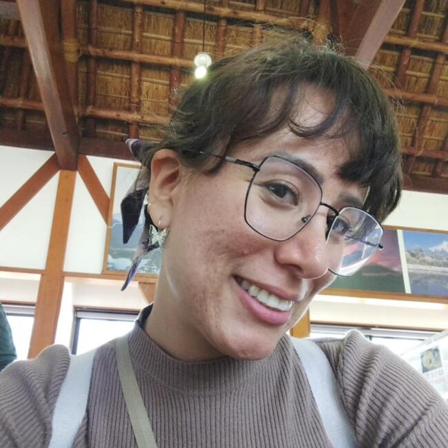 Babysitter in Aguascalientes: Carolina