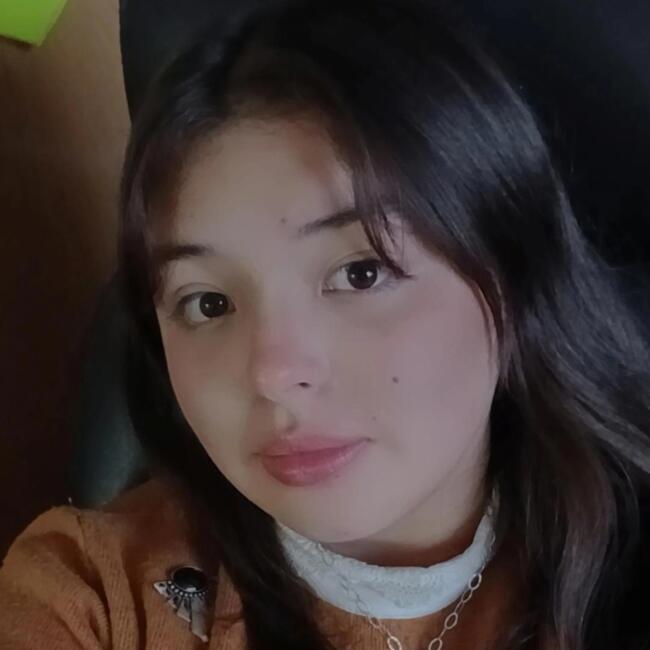 Niñera en San Pedro de la Paz: Arlette millaray