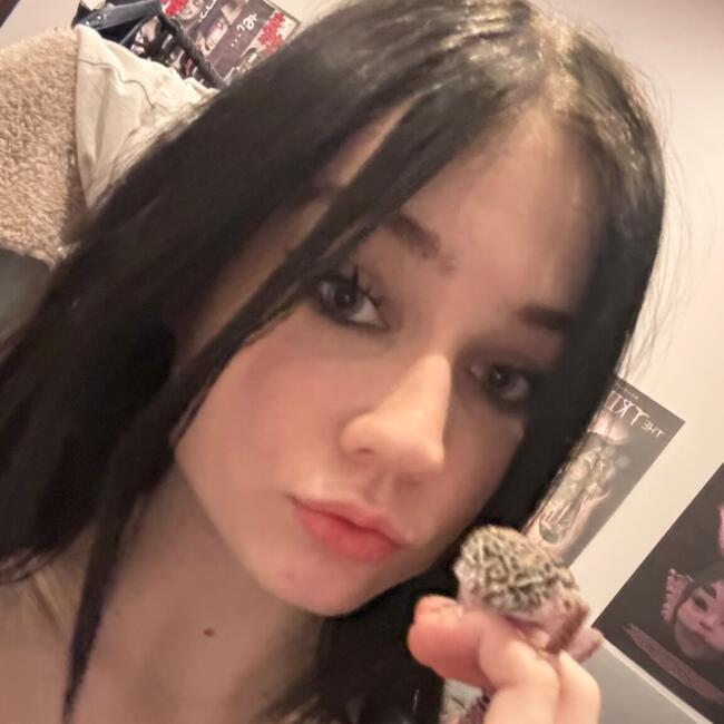 Babysitter in Gliwice: Alicja Żurek