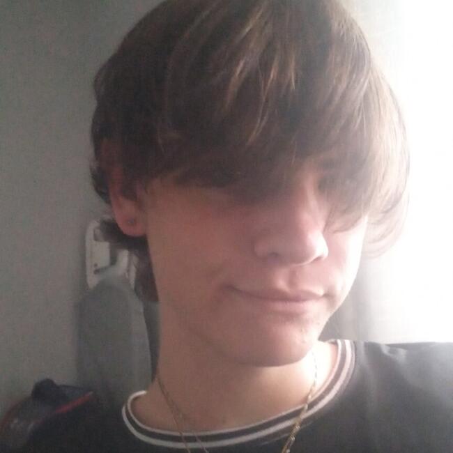 Babysitter in Alberton: Tracer