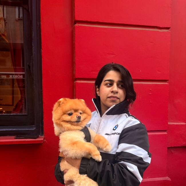 Babysitter in Istanbul: Eeman