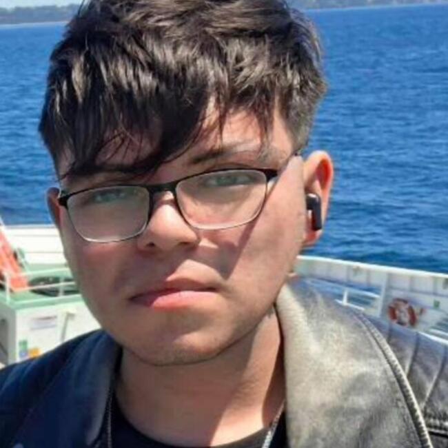 Babysitter in Padre Hurtado: Emilio