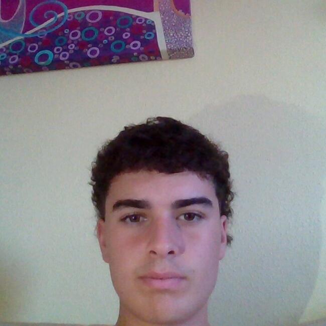 Babysitter in Zaragoza: Luis