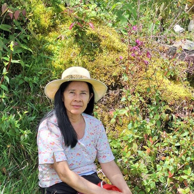 Babysitter in Bogotá: Ana Cecilia