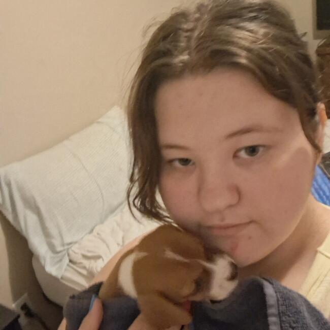 Babysitter in Grand Rapids (Michigan): Kaymarie
