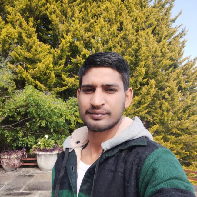 कानपुर में बेबीसिटर: Nitin