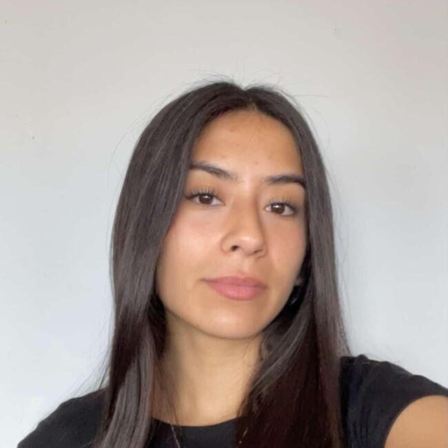 Niñera en Valparaíso: Ariela