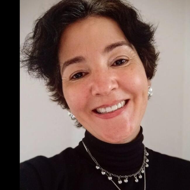 Babysitter in Itapecerica da Serra: Diana a t