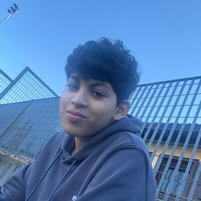 Babysitting job in Fiorano Modenese: Marco