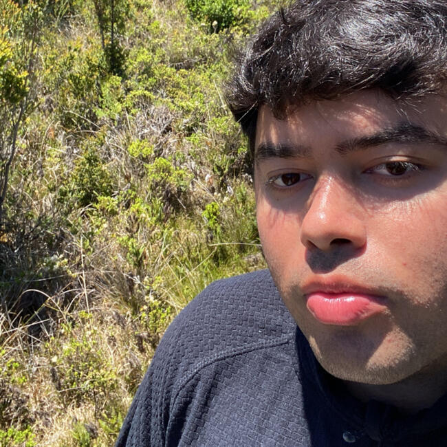 Niñera en Quilpué: Bastian Bustamante Meza