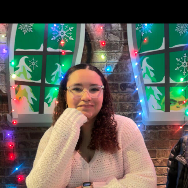 Babysitter in West Hempstead: Logan