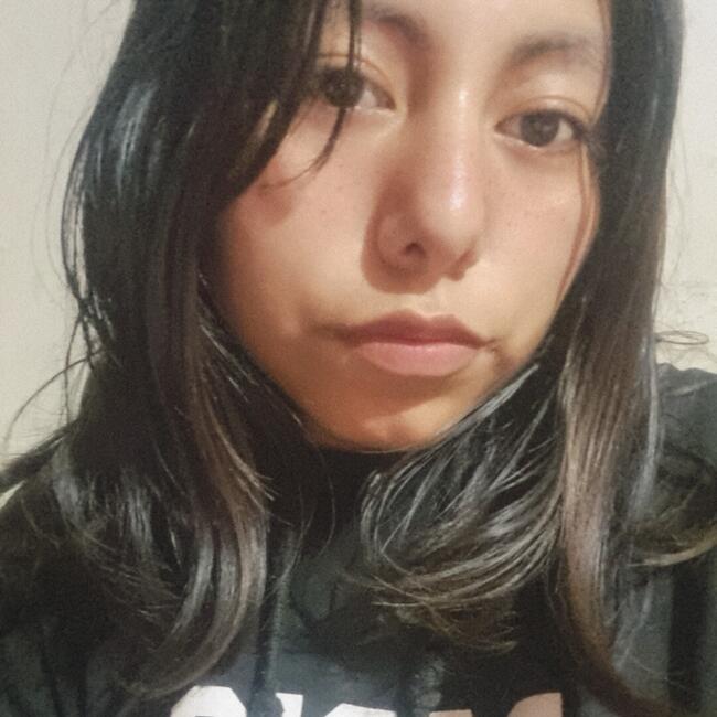 Niñera en Arica: Anyel