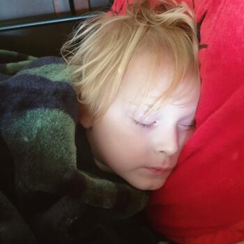 Babysitting job in New Plymouth: babysitting job Ashley