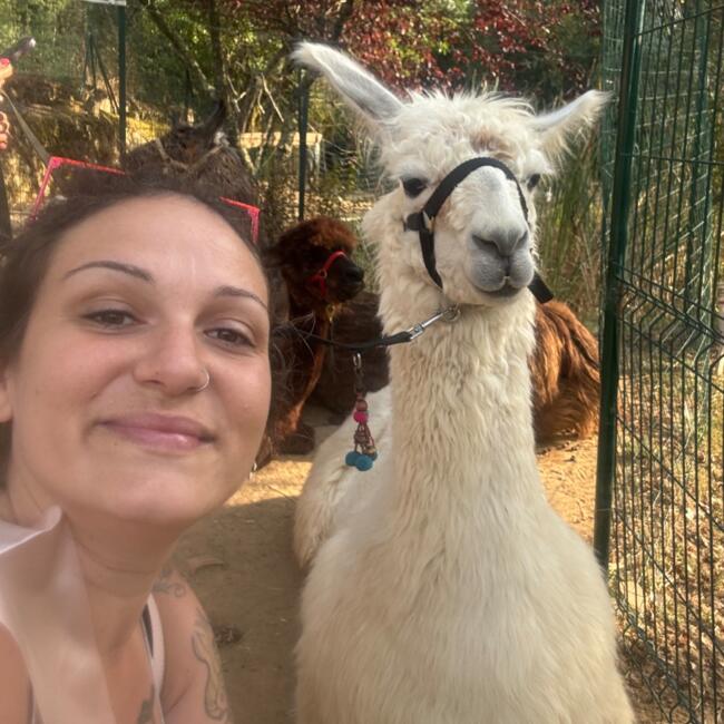 Babysitting job in Scandicci: Elisa