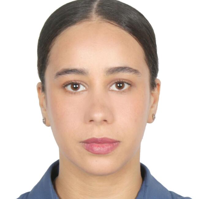 Baby-sitter à Gentilly: Wissam