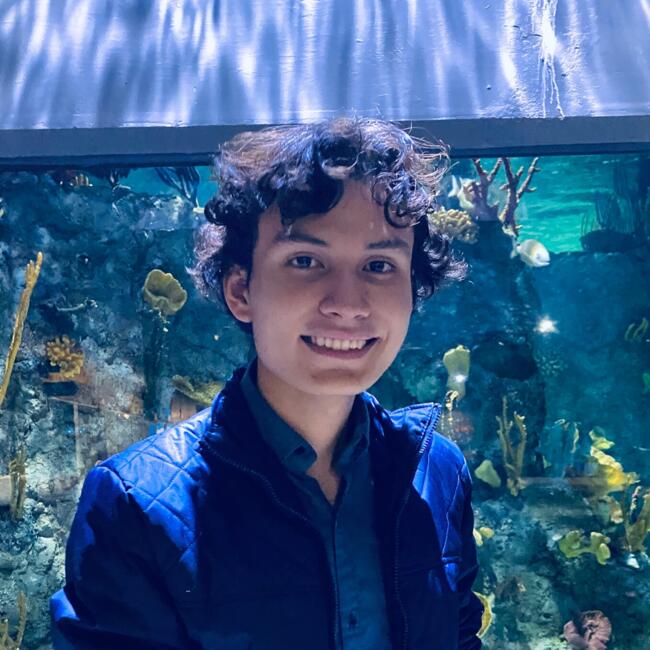 Niñera en San Juan B. Cuautlancingo: Irving