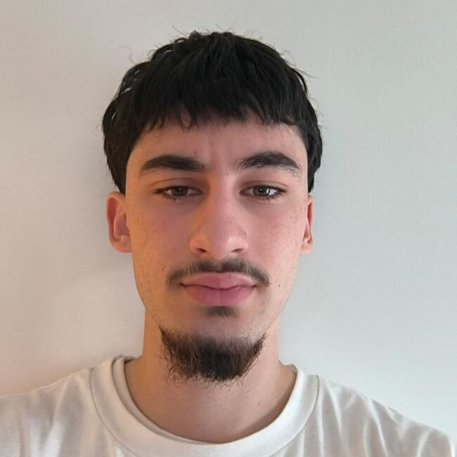 Babysitter in Clermont-Ferrand: Alexis