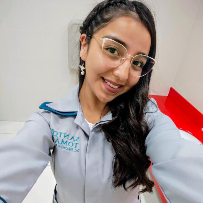 Babysitter in Valdivia: Pricila