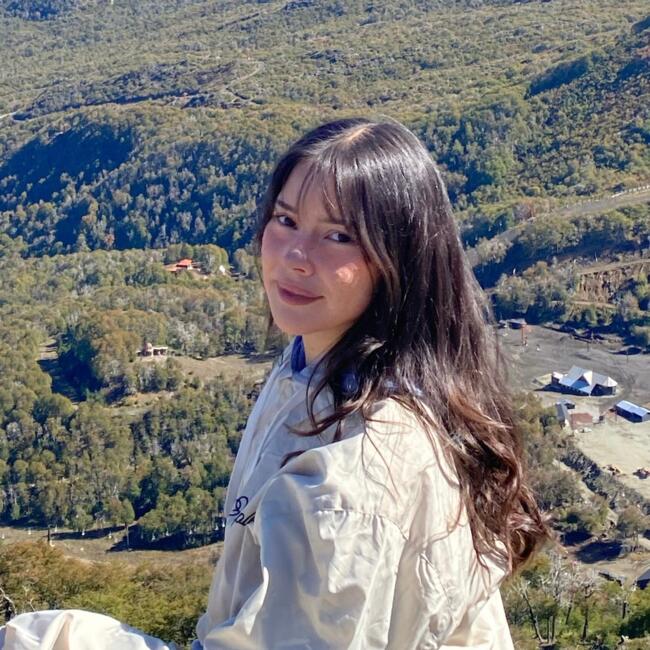 Niñera en Viña del Mar: Araceli